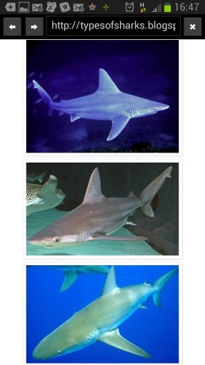 The Sharks app截图8