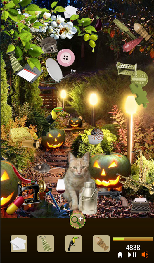 Hidden Object Garden Kittens截图3