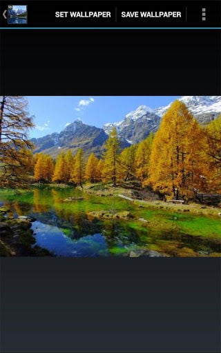 Best of Nature Wallpapers截图6