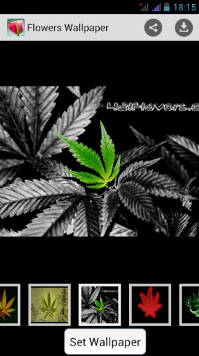 Weed Smoke HQ wallpapers 2015截图1