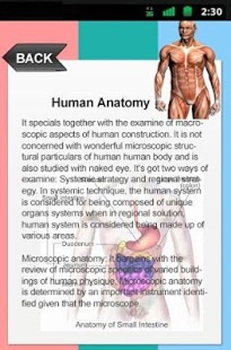 Human Anatomy Atlas截图5
