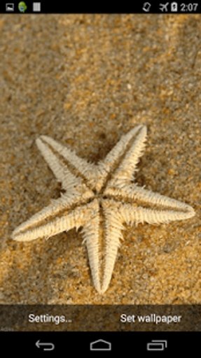 Sea Star Live Wallpaper截图1