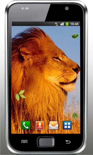 Lions Wild HD live wallpaper截图7