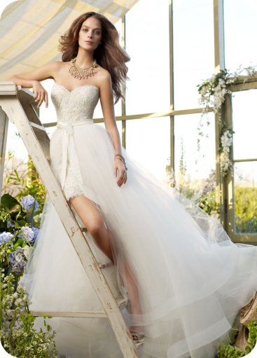 Wedding Dresses App截图3