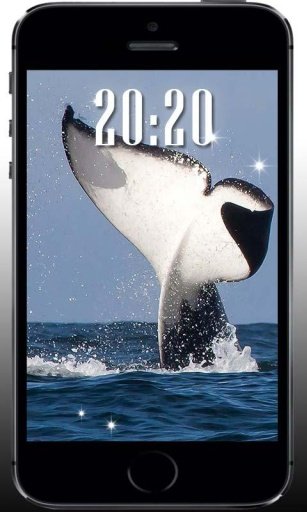 Whale Killer Sea livewallpaper截图1