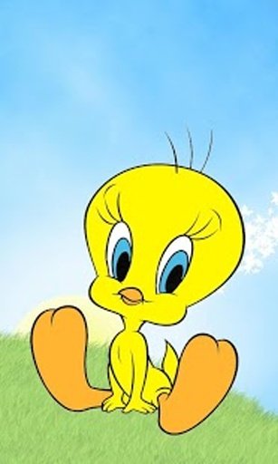 Tweety Bird Wallpaper截图7