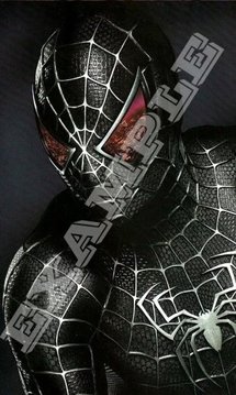 Amazing Spider-Man Wallpaper截图