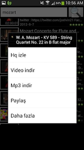 Mp3 indir截图6