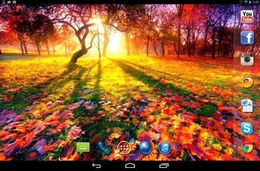 Autumn Leavs live wallpaper截图2