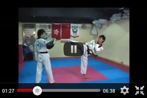 Taekwondo Techniques Tube截图6