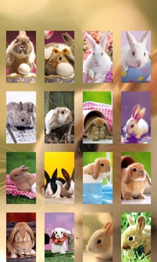 Bunny jigsaw Puzzle截图4