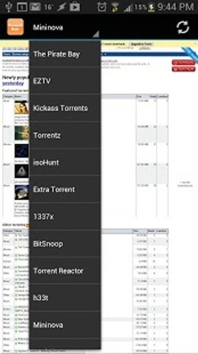 Torrent Hub截图4