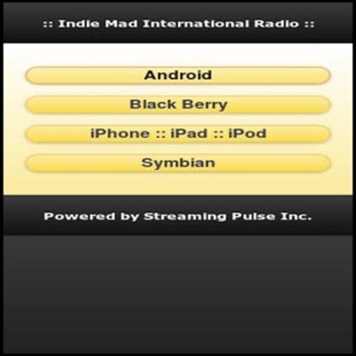 Indie Mad Mp3 Radio截图4