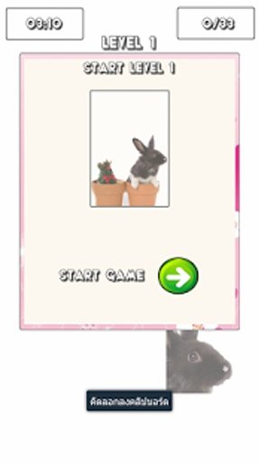 The Bunny Puzzle截图4