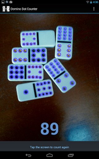 Domino Dot Counter Demo截图4