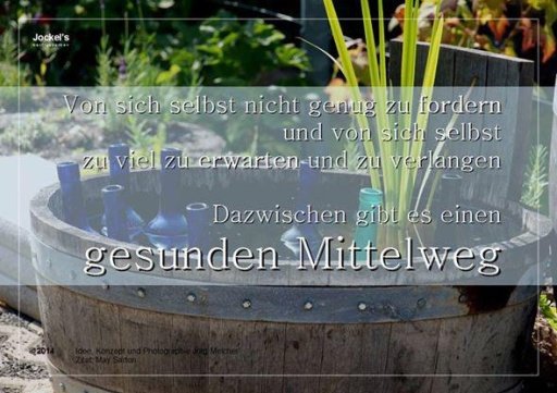 Berühmte Zitate und Sprüche截图3