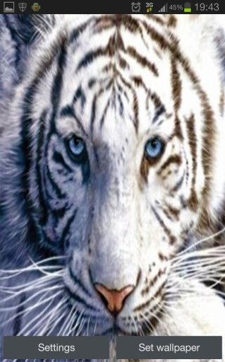 White Tiger Real Water Touch截图2