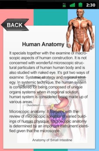 Human Anatomy Atlas截图1