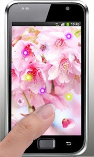 Sakura Japan live wallpaper截图3