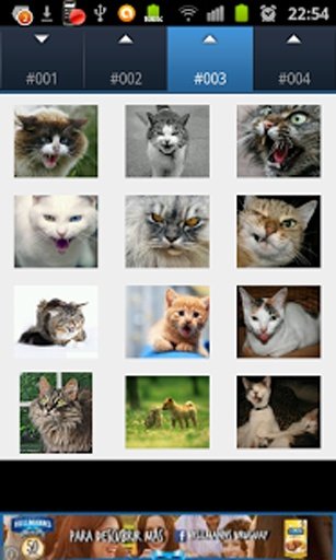 Dogs and Cats Sounds截图7