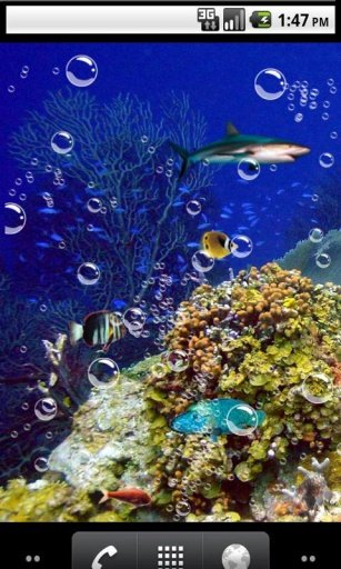 Top underwater Live Wallpaper截图3