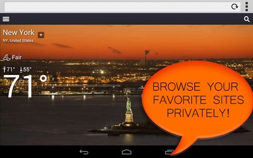 My Private Browser截图7