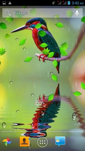 Bird Reflection Live Wallpaper截图2