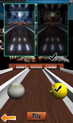 3D Bowling With Wild截图5