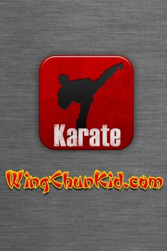 Karate Martial Arts FREE截图4