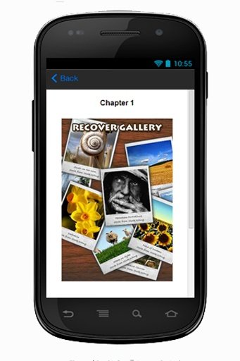 Recover Gallery截图1