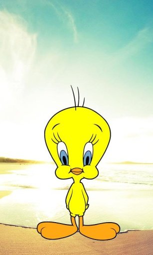 Tweety Bird Wallpaper截图4