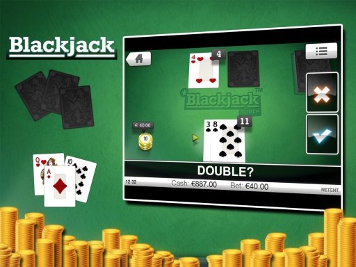 BlackJack 21 - Pontoon截图2