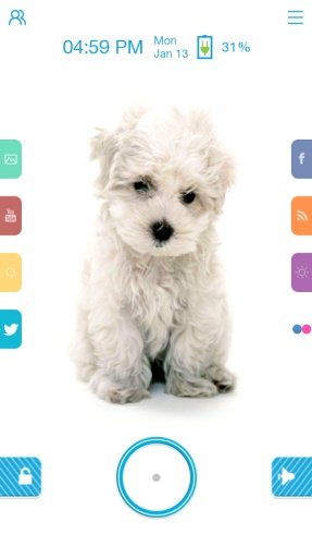 Puppy - Start Theme截图8