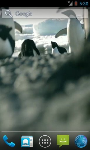 Penguins Free Video Wallpaper截图4