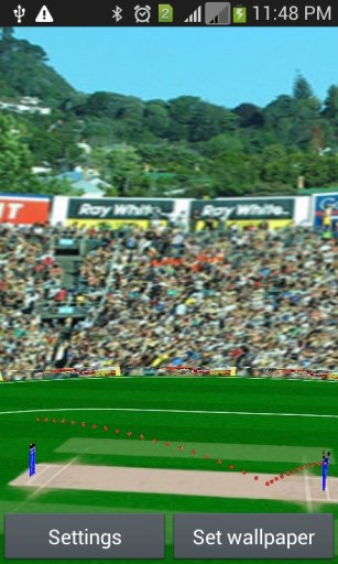 3D Cricket Stadium截图8