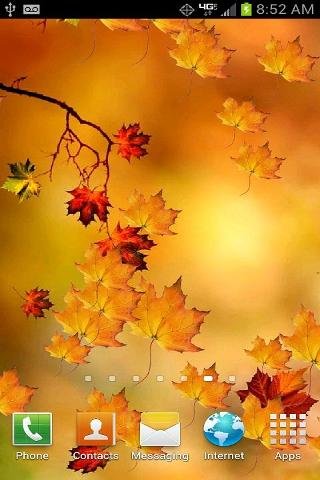 Autumn Branch Live Wallpaper截图4