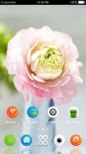 Romantic Flower Theme截图1