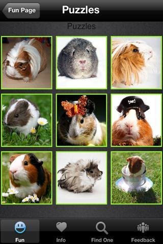 Guinea Pig+ Free截图1