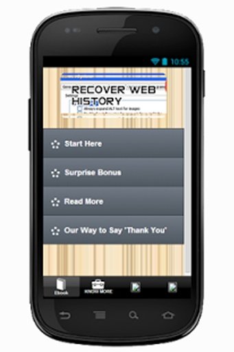 Recover Web History Info截图3