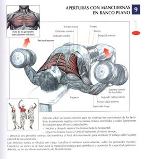 Ejercicios Pectorales Total截图1