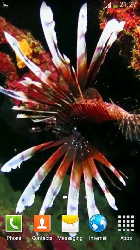 Sea Life Video Wallpapers截图3