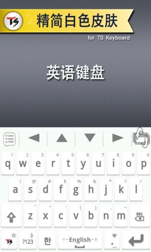 精简白色for TS键盘截图4