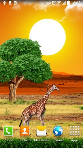 Safari Live Wallpaper截图5