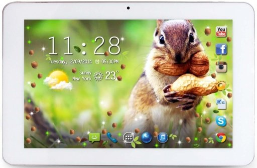 Squirrel Best live wallpaper截图5