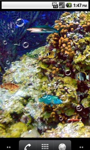 Nature underwater Wallpaper截图4