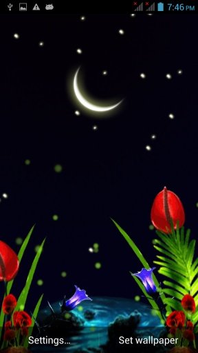 Cool Night live wallpaper截图1