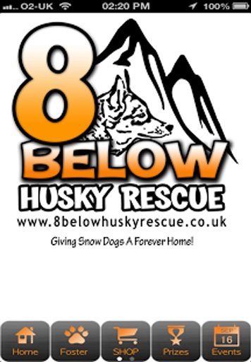 8 Below Husky Rescue截图2