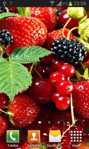 Wild berries live wallpaper截图2