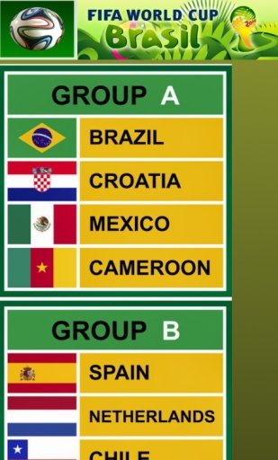 Brazil FIFA 2014 TV + Guide截图1