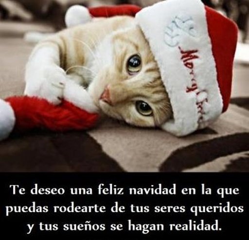 Imagenes de navidad截图2